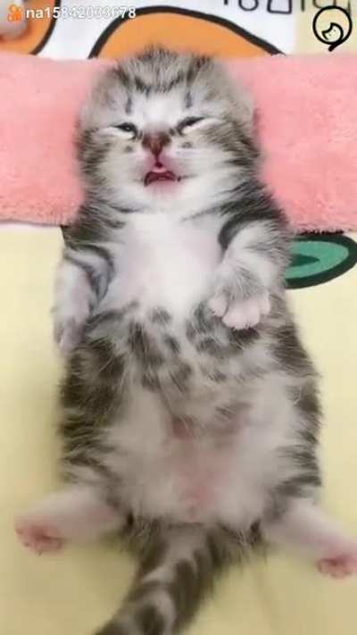 Kiss me mum❤🤩
