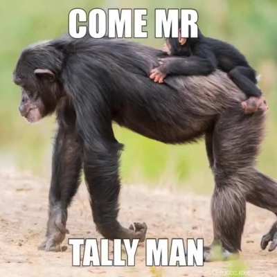 the new monke song