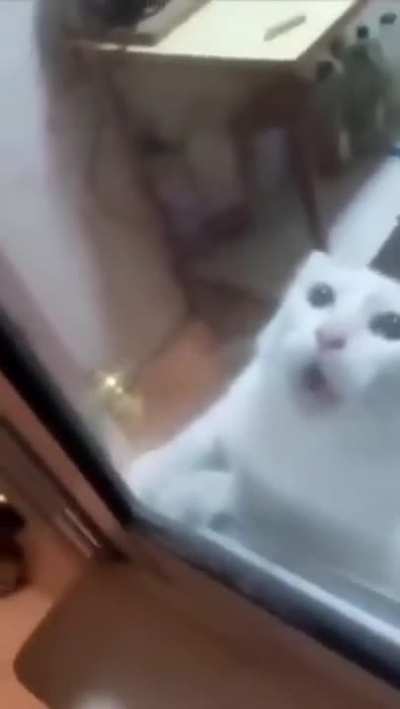 Cuando mientes en tu CV y consigues el trabajo: