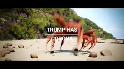 crab rave