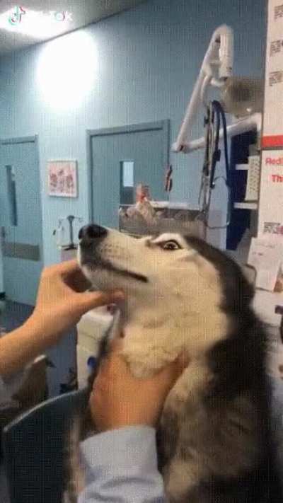 take the medicine