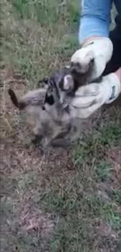 Such a cute little guy