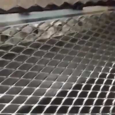 Stamping sheet metal into mesh