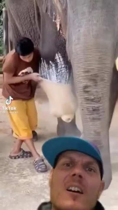 Rulelephant