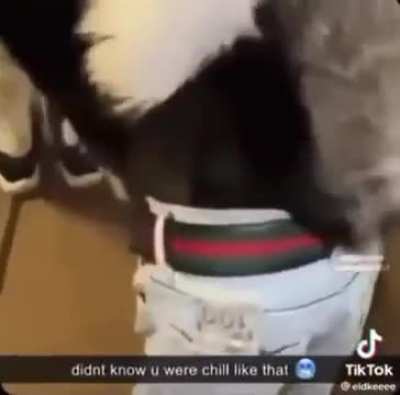 Iced wunk
