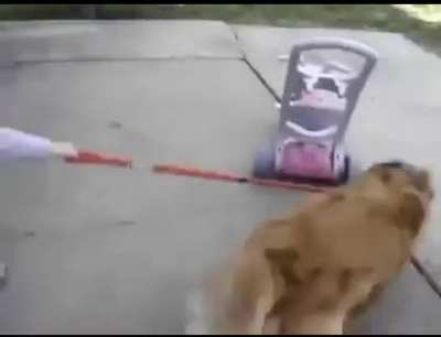 a classic - go bwah