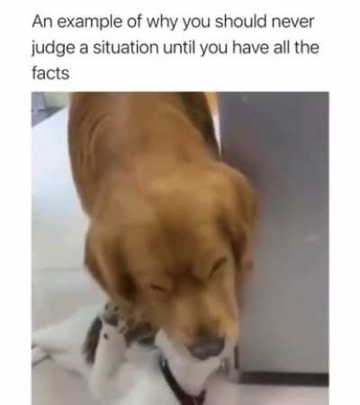 Love bites