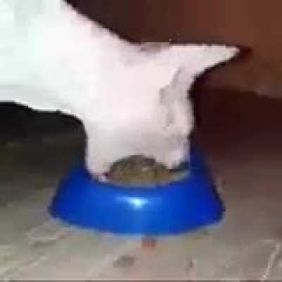 yummy