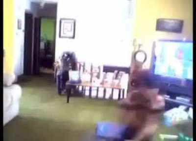 BONK BONK