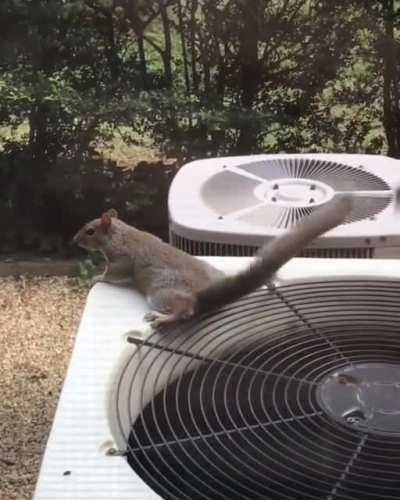 Staying cool