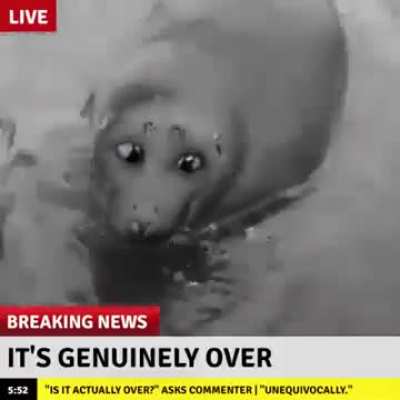 seal