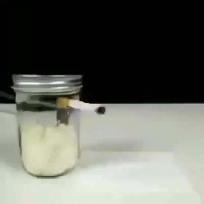 Radical roach