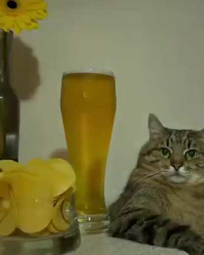 Как прошли мои выход<wbr>ные..<wbr>.