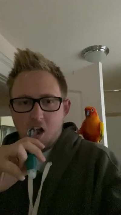 Toothbrushbirb
