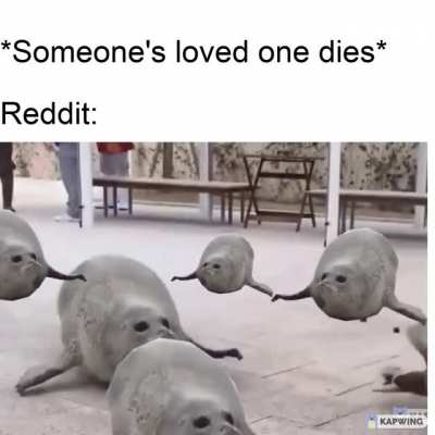 Totally wholesome