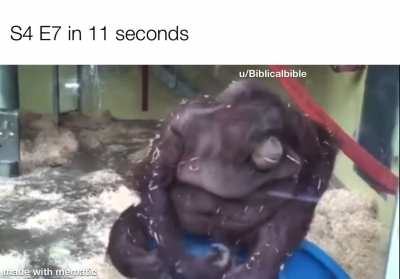 Monke fall