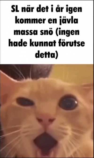 Knas