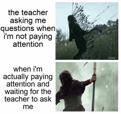 gif memes pog