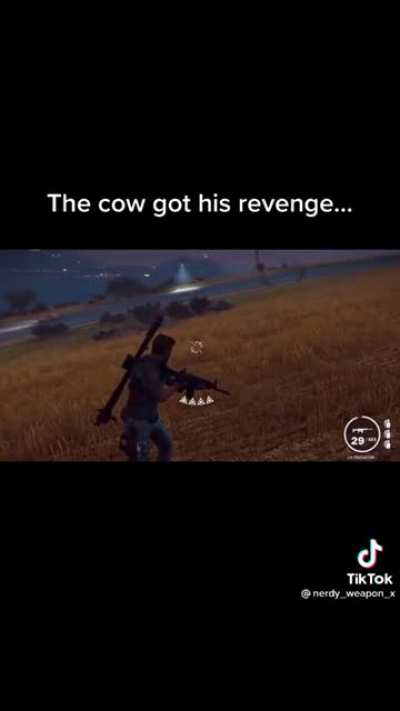 cow go boom