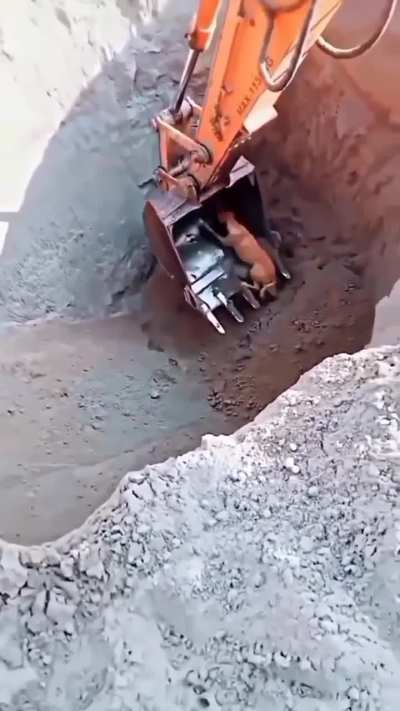 Humanity wins