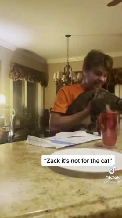 Tried to surprise her brother that he’s going to be an Uncle, but he’s already a Cat Dad