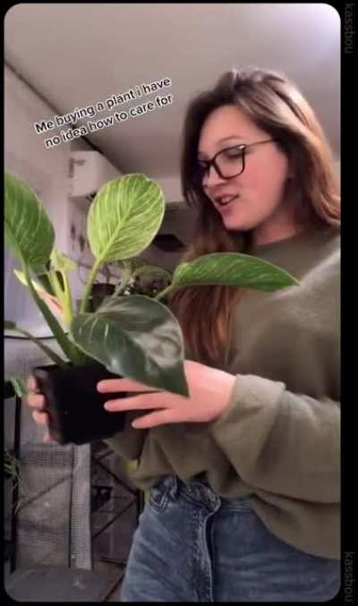 me buying a plant i have no idea how to care for