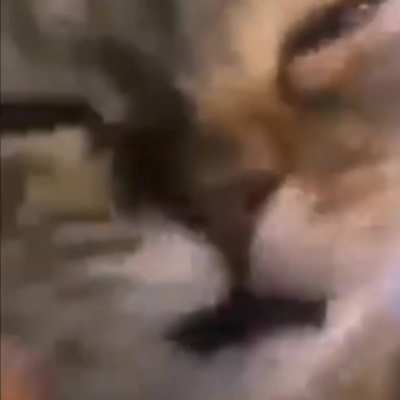ð¿