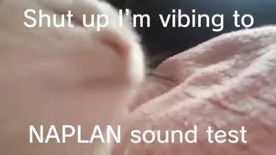NAPLAN meme