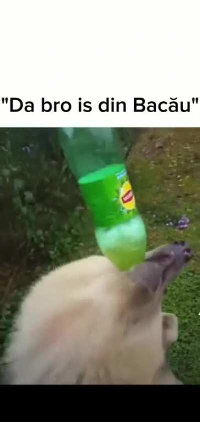 BacÄu ð
