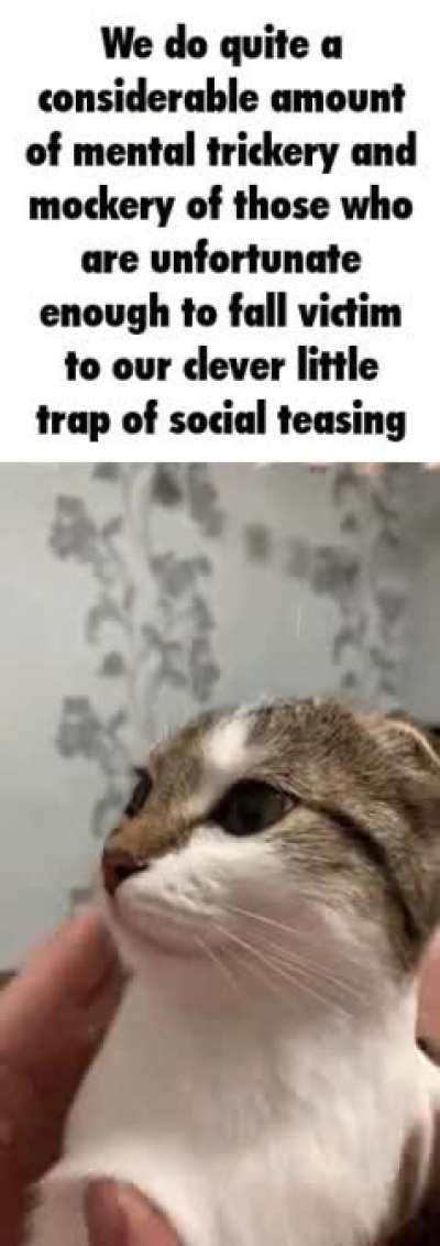 49023
