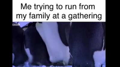 Mom help me I’m scared