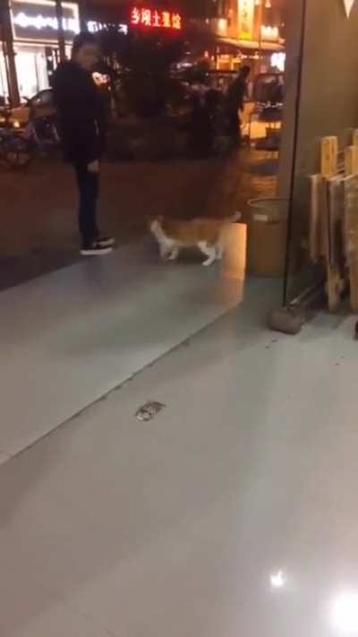 Michael Catson!