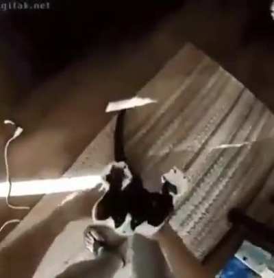 aAAAA