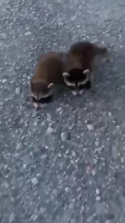 No touchy!