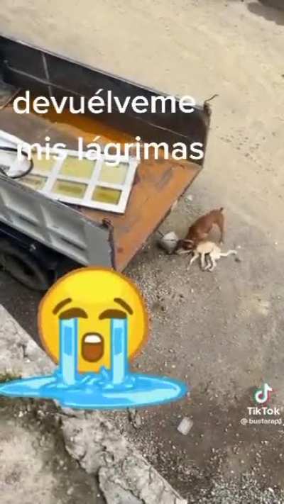 Sad