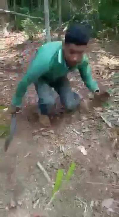 Saca só a habilidade do home
