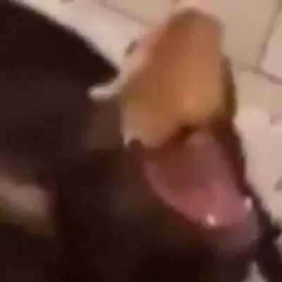 aaaaaaa