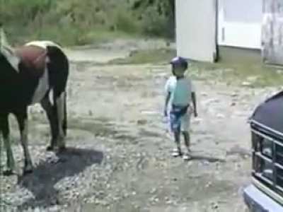 Im sure they'll end just blaming the Horse