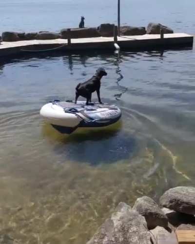 Don't worry daddy, I'll save you!