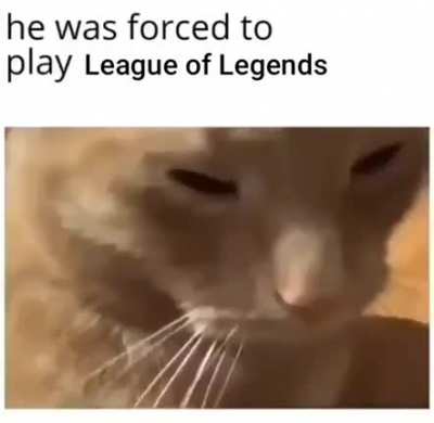LeagueOfMemes - Video #4316