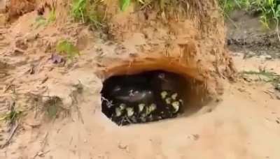 Как это поним<wbr>ать?