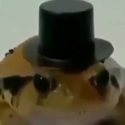 Sapo fachero