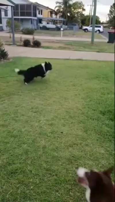 4595