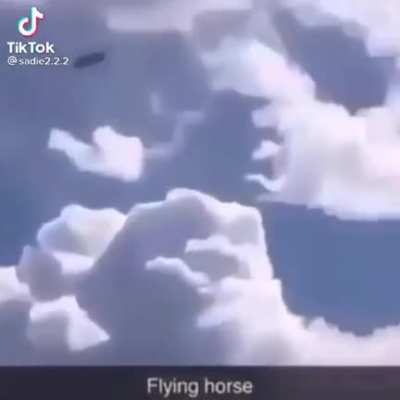 ¿Juan? PD: Ignoren el logo de Tik Tok