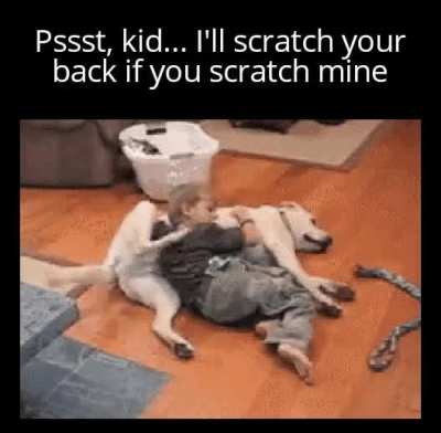 Man's best friend indeed