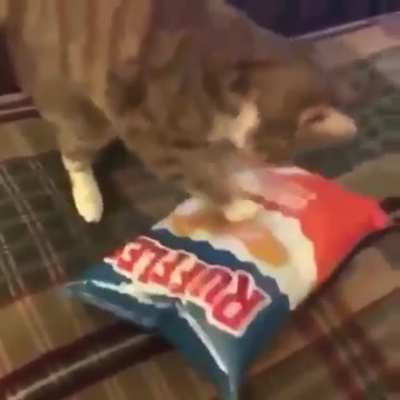 hungry