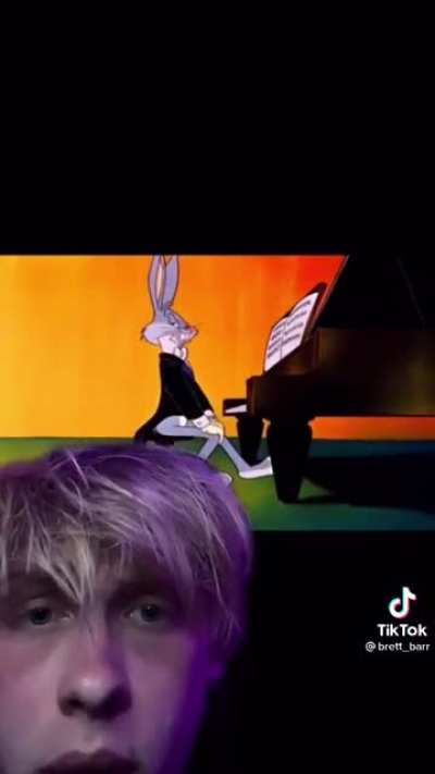 Bugs Why?!
