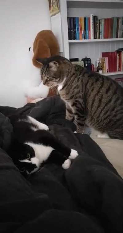 Roderick isn't even bothered to keep fighting, but Bill keeps scaring himself