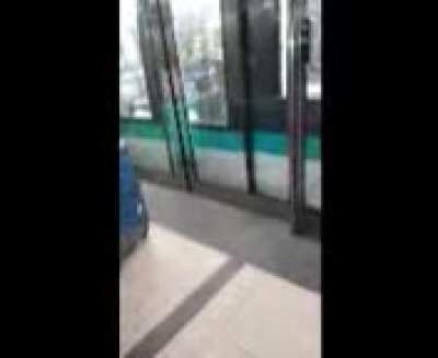 The trains in Paris look very similar to the trains in NYC