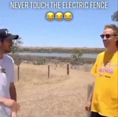 Electric fence